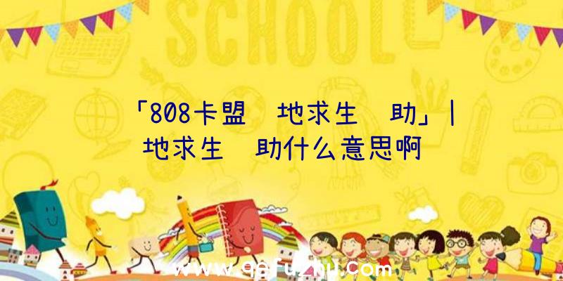 「808卡盟绝地求生辅助」|绝地求生辅助什么意思啊